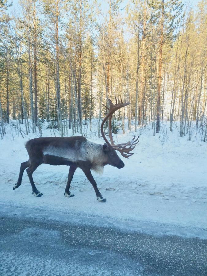 Yllaes Kanerva 105 Äkäslompolo Dış mekan fotoğraf